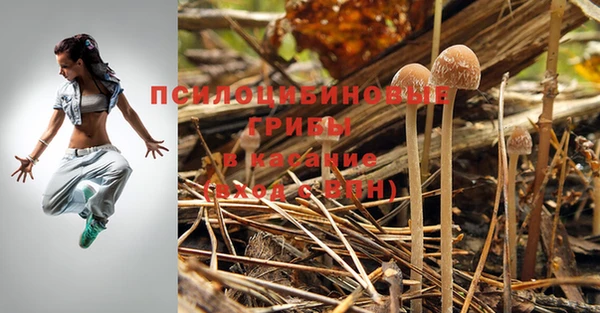 мяу мяу кристалл Липки