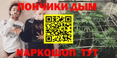 шишки Берёзовский