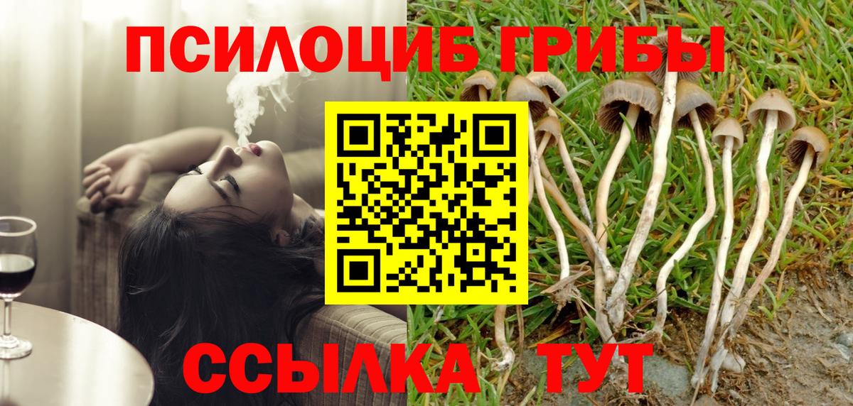 Псилоцибиновые грибы мицелий Дубна